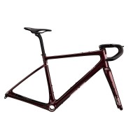 ENVE MOG Disk Rahmenset Frameset Gravel hollyhock purple